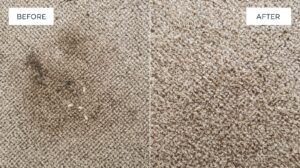 carpet cleaning before aftaer (1)