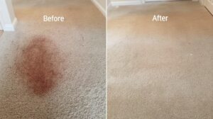 carpet cleaning before aftaer